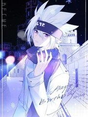 老中医spa系列